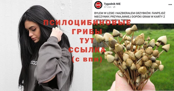 a pvp Гусев